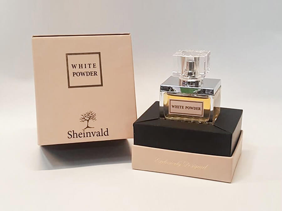 תמונת אווירה