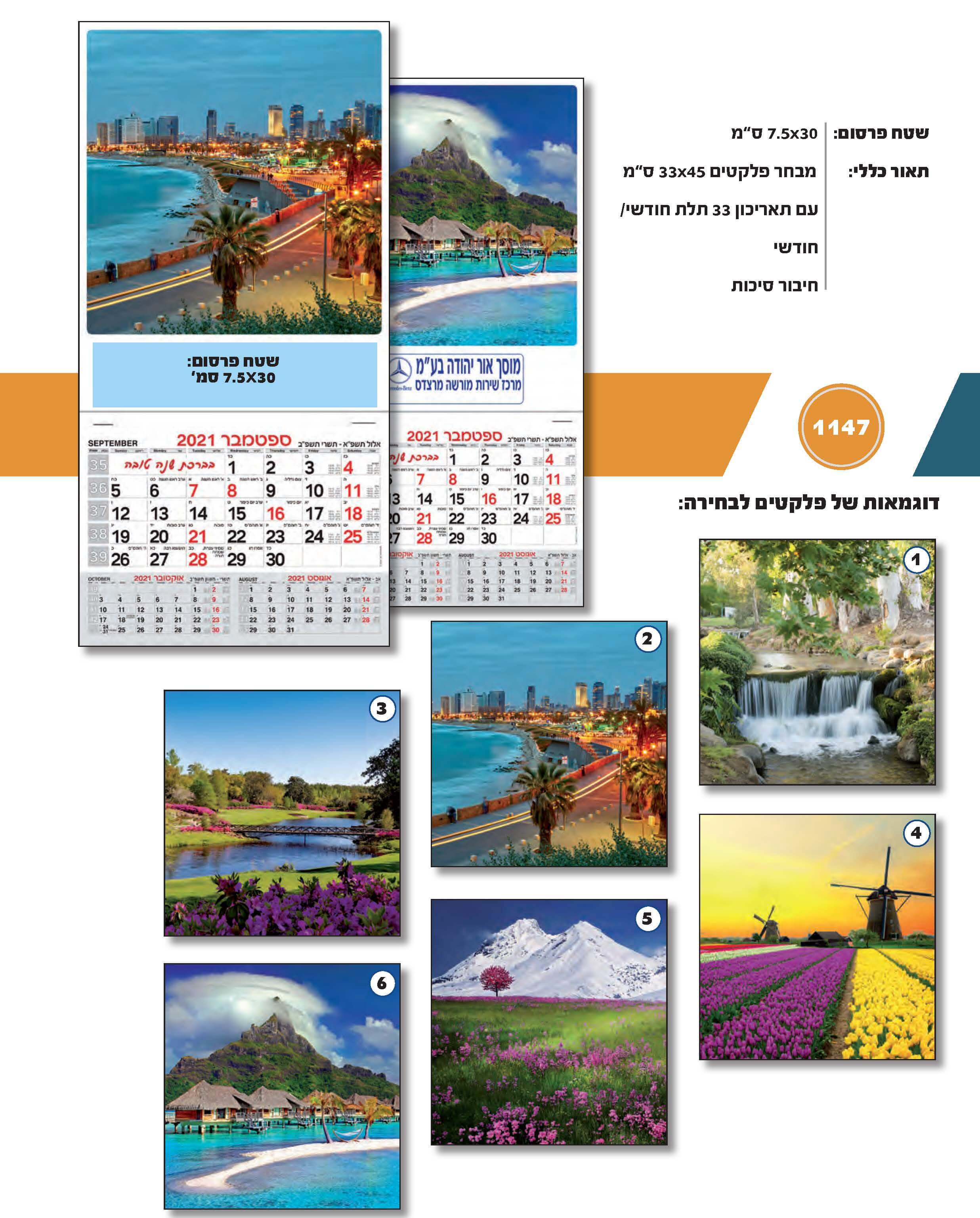 פלקטים גדולים